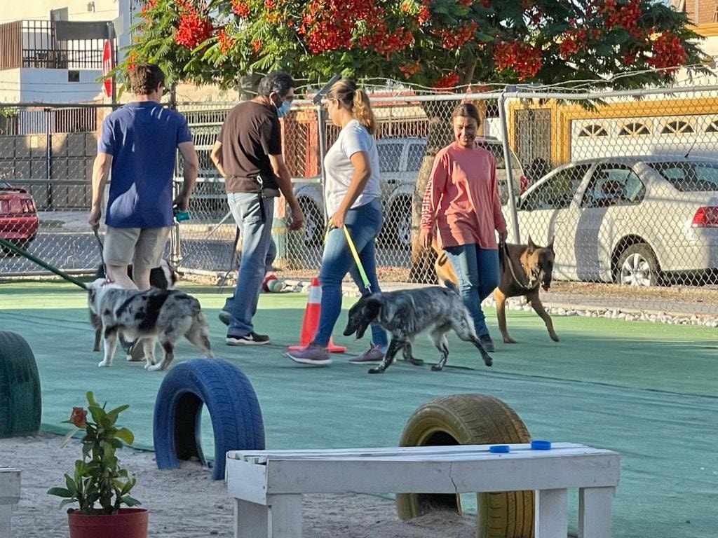 el camiso club de adiestramiento canino en Hermosillo